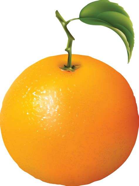 free clip art oranges